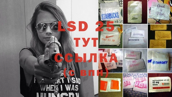 ECSTASY Армянск